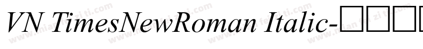 VN TimesNewRoman Italic字体转换